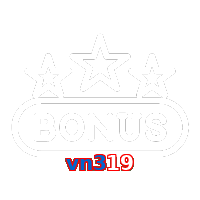 vn319